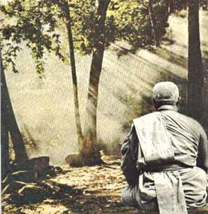 Ajahn Buddhadasa